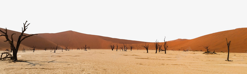 天空下的沙漠png免抠素材_新图网 https://ixintu.com 天空 摄影 枯树 沙漠