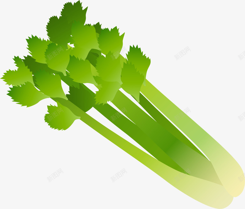 绿色蔬菜芹菜png免抠素材_新图网 https://ixintu.com 健康食品 水彩 白色光晕 绿色芹菜 绿色蔬菜 菜类图片 食品