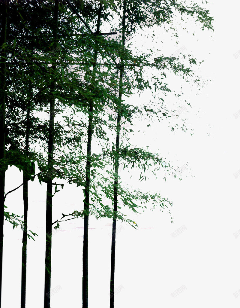 树林落叶公园装饰png免抠素材_新图网 https://ixintu.com 公园 树林 落叶 装饰