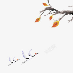 落叶与枯树丹顶鹤高清图片