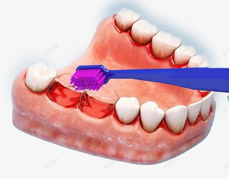 牙刷口腔png免抠素材_新图网 https://ixintu.com 产品实物 刷牙 牙龈健康 牙龈健康刷牙防蛀牙 防蛀牙