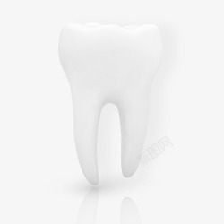 白色牙齿模型素材