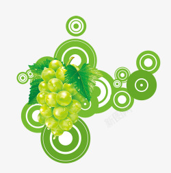 绿叶上的蚕丝被圆圈上的绿色葡萄高清图片