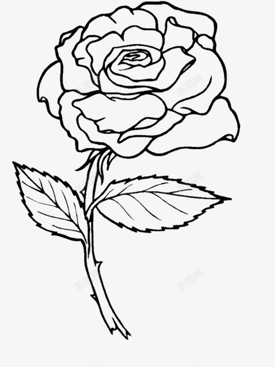 黑白素描硬笔画图标png_新图网 https://ixintu.com 硬笔画 素描 花卉 花朵 黑白