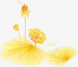 黄色莲叶荷花装饰素材