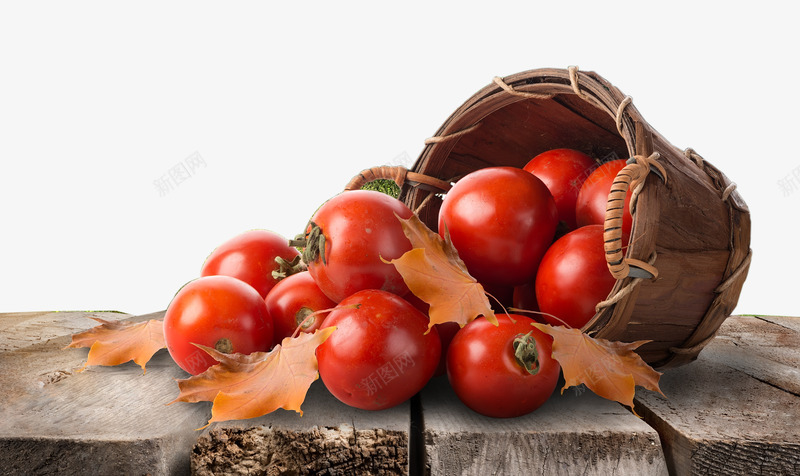 木板上的西红柿png免抠素材_新图网 https://ixintu.com 木板上的西红柿 竹筐 落叶 蔬菜