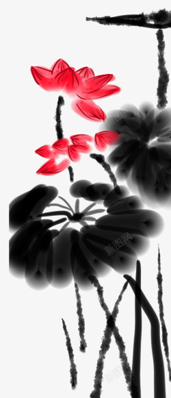 水墨中国画荷花睡莲与荷叶素材