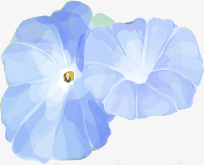 合成创意形状花卉png免抠素材_新图网 https://ixintu.com 创意 合成 形状 花卉