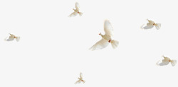 天空中飞翔的鸽子装饰素材