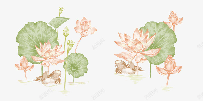 淡雅荷花psd免抠素材_新图网 https://ixintu.com 小清新 淡雅 荷花 荷花荷叶