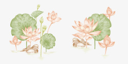 淡雅荷花素材