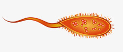 细菌模型蝌蚪病菌高清图片
