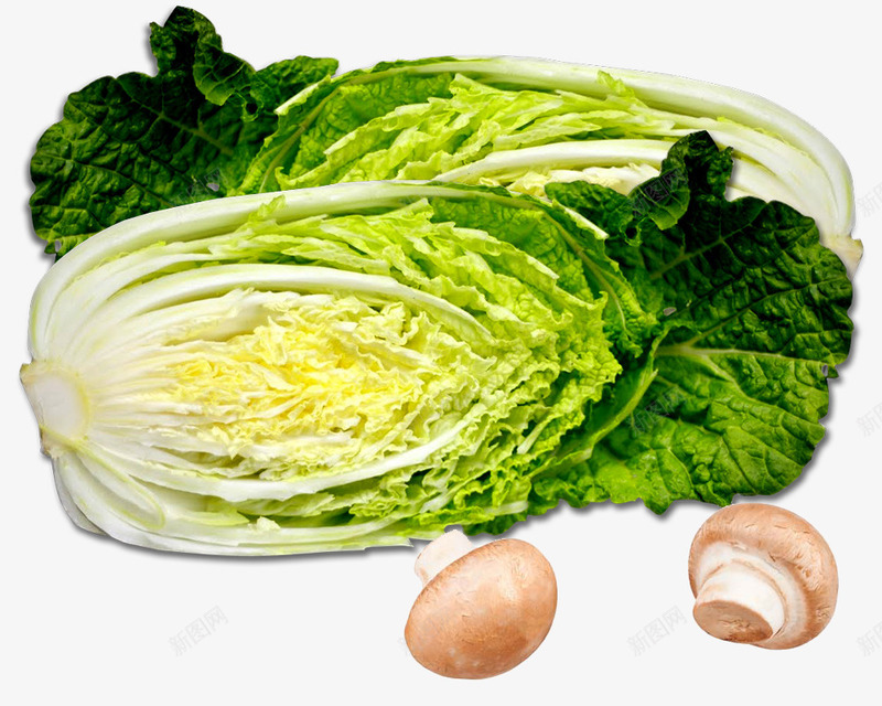 绿色的白菜和新鲜的香菇psd免抠素材_新图网 https://ixintu.com 健康饮食素材 新鲜香菇 白菜 绿色 绿色蔬菜素材