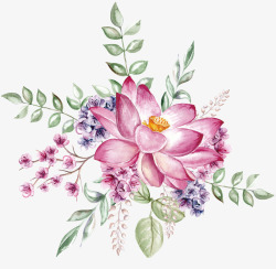 荷花和绿叶素材