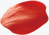 红色质感飘扬的花瓣形状素材