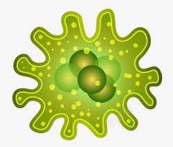 毒菌细菌模型高清图片