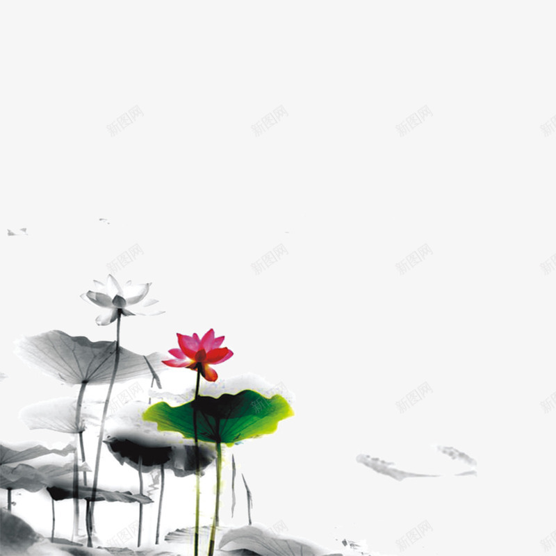 水墨荷花psd免抠素材_新图网 https://ixintu.com 姘村椋 涓 鑽疯姳