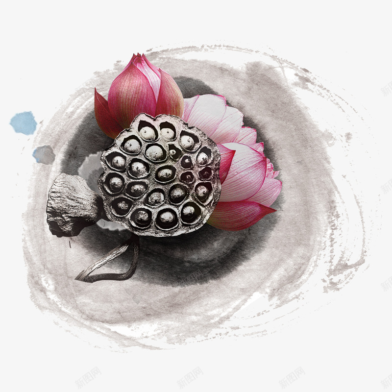 荷花png免抠素材_新图网 https://ixintu.com 墨痕 水墨 荷花 莲藕