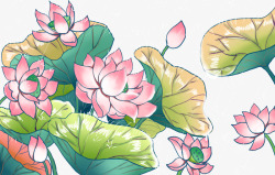 手绘装饰荷花元素素材