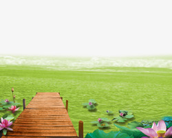 绿色的湖面湖面荷花桥高清图片