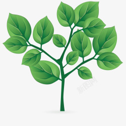 绘画模型艺术绿色植物高清图片