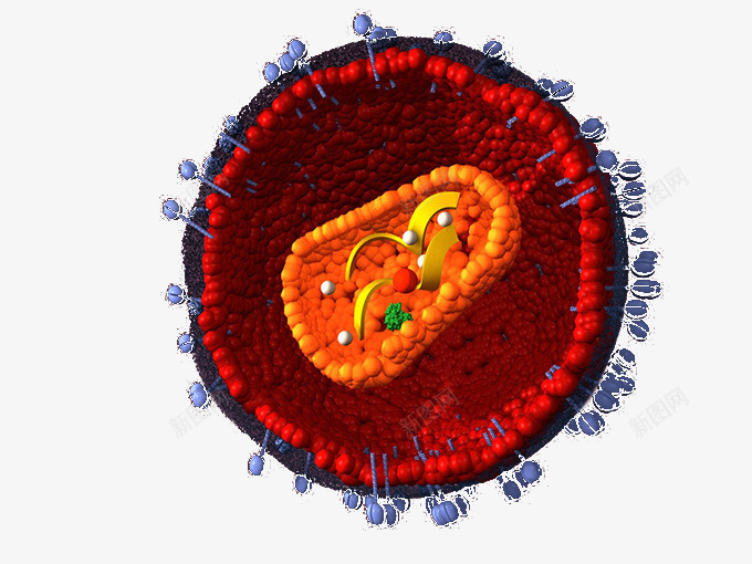 红色细胞模型png免抠素材_新图网 https://ixintu.com 分裂 治疗 生物 细胞体
