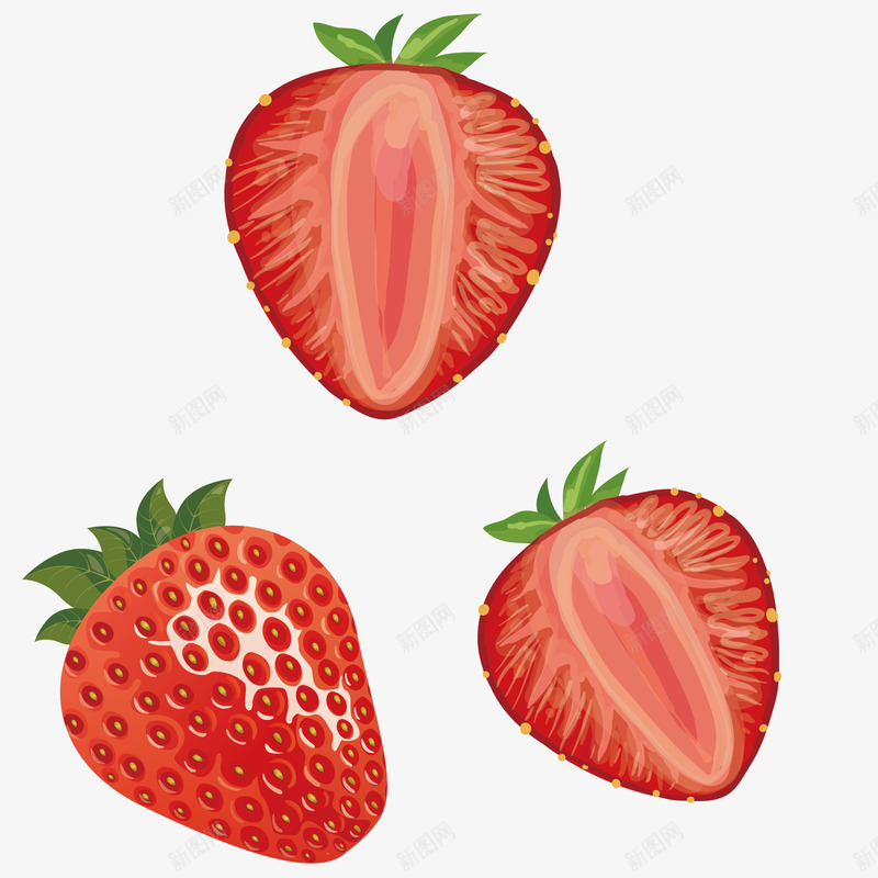 红色草莓水果食物png免抠素材_新图网 https://ixintu.com 手绘 果实 模型 瓜果 绘画 艺术 餐饮美食