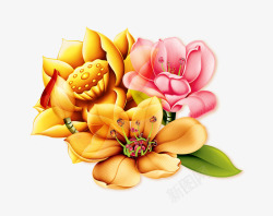 花荷花绿叶素材