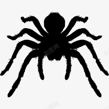 蜘蛛节肢动物的轮廓图标图标
