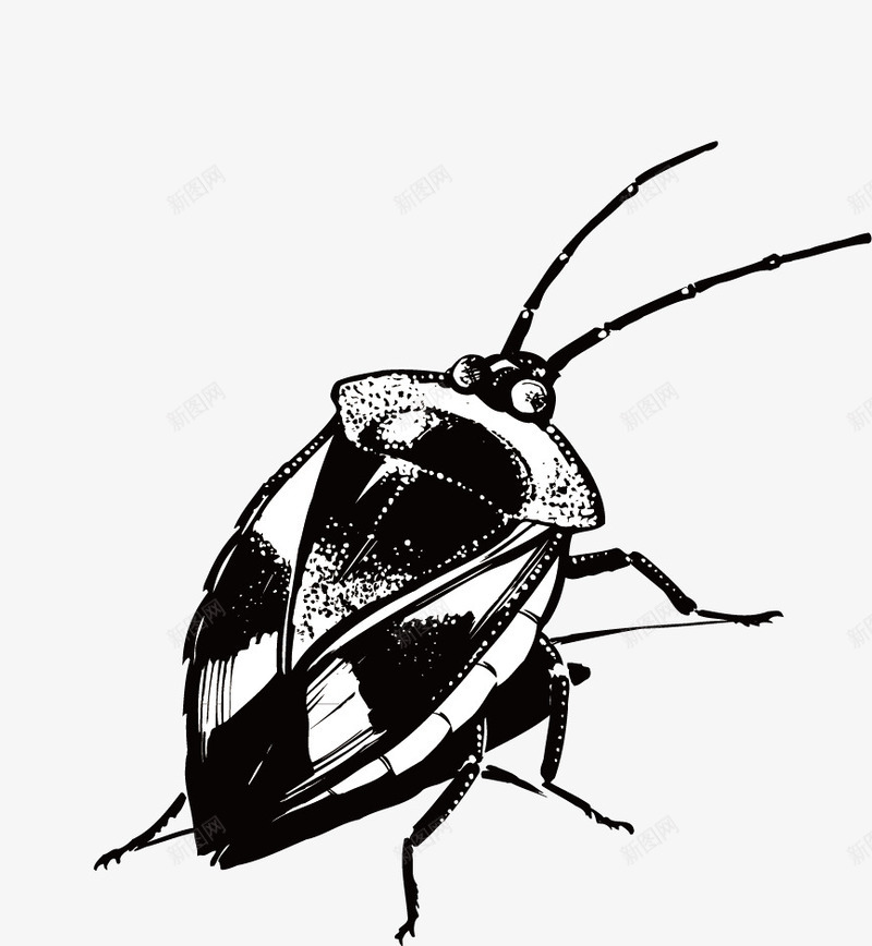 手绘昆虫cdr免抠素材_新图网 https://ixintu.com 手绘昆虫 昆虫 素描昆虫图片 黑白昆虫