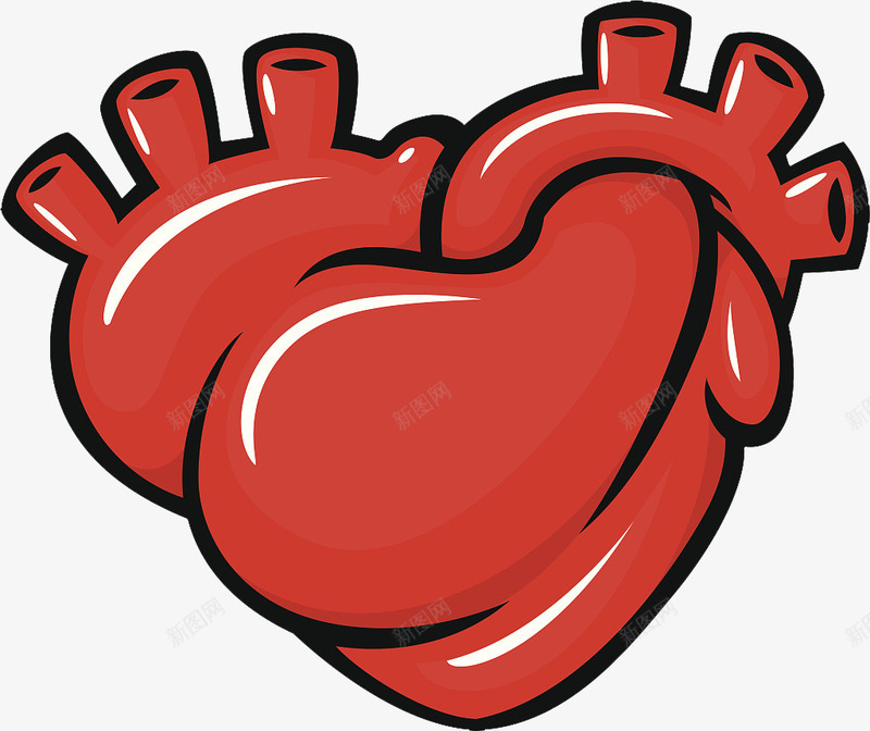 手绘心脏器官png免抠素材_新图网 https://ixintu.com 五脏六腑 人体内脏模型 内分泌系统 医学研究 医疗 器官移植 器官结构 心脏图案