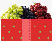 食材礼盒水果食物高清图片