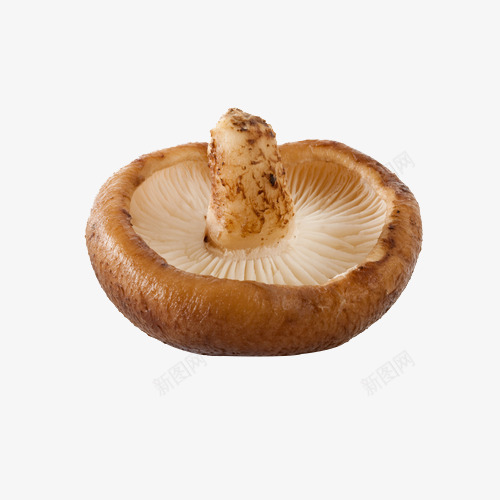 鲜香菇摄影png免抠素材_新图网 https://ixintu.com 健康 实物 绿色食品 蘑菇 食用菌 香菇 香菇青菜 鲜香菇摄影