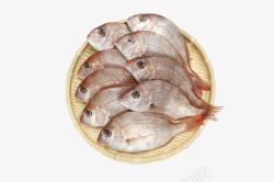 日本厨师日本海鲜鲷鱼高清图片
