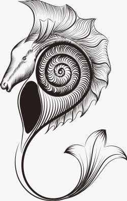 素描海马创意素描抽象海马高清图片