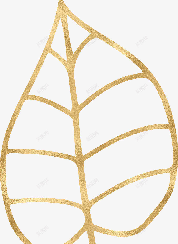 金色线条树叶png免抠素材_新图网 https://ixintu.com 一片树叶 平面 彩绘 手绘 线条树叶 金色树叶