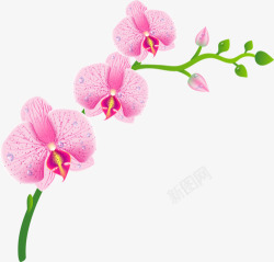 创意手绘粉红色的花卉植物素材