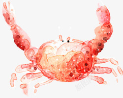 粉红色的螃蟹手绘粉红色漫画螃蟹高清图片