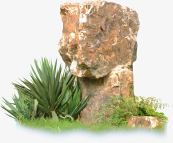 石头和绿植素材