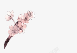 藕粉色一枝手绘梅花高清图片