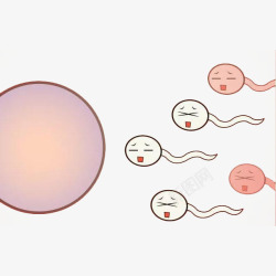 受孕卡通精子游向卵子高清图片