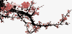 梅花花开素材