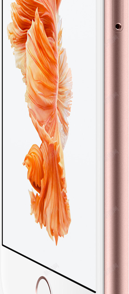 iPhone6s粉红侧面图png免抠素材_新图网 https://ixintu.com 6s iphone 侧面图 粉红