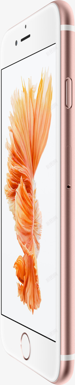 iPhone6s粉红侧面图素材