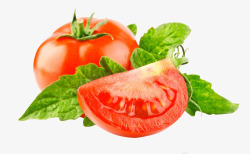红色绿叶番茄素材