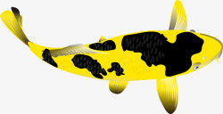 黄色卡通鲤鱼素材