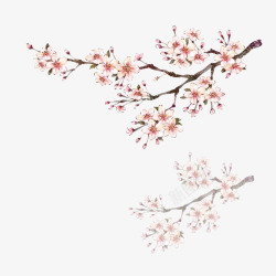 两树缠绕梅花高清图片