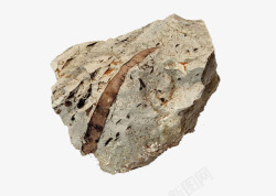 有裂缝的石头灰色的裂缝化石高清图片