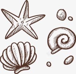 手绘旅游沙滩贝壳矢量图素材