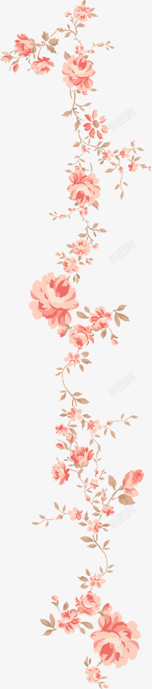 彩绘粉红牡丹花素材